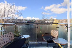 Photo 15- click for photo gallery